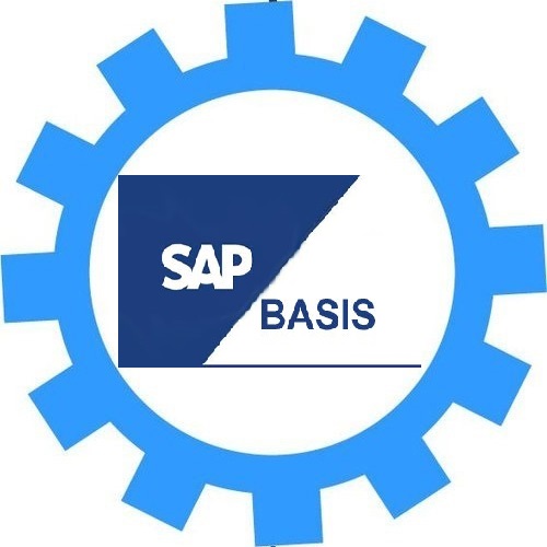 sap basis online Training in Hyderabad