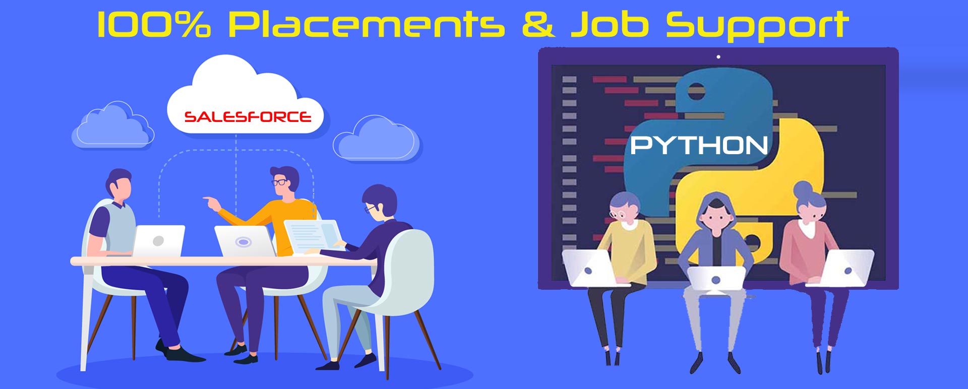 Salesforce and Python Training